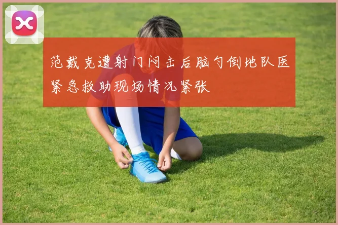 范戴克遭射门闷击后脑勺倒地队医紧急救助现场情况紧张